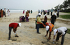 Thannirbavi beach cleared of plastics for World Environment Day